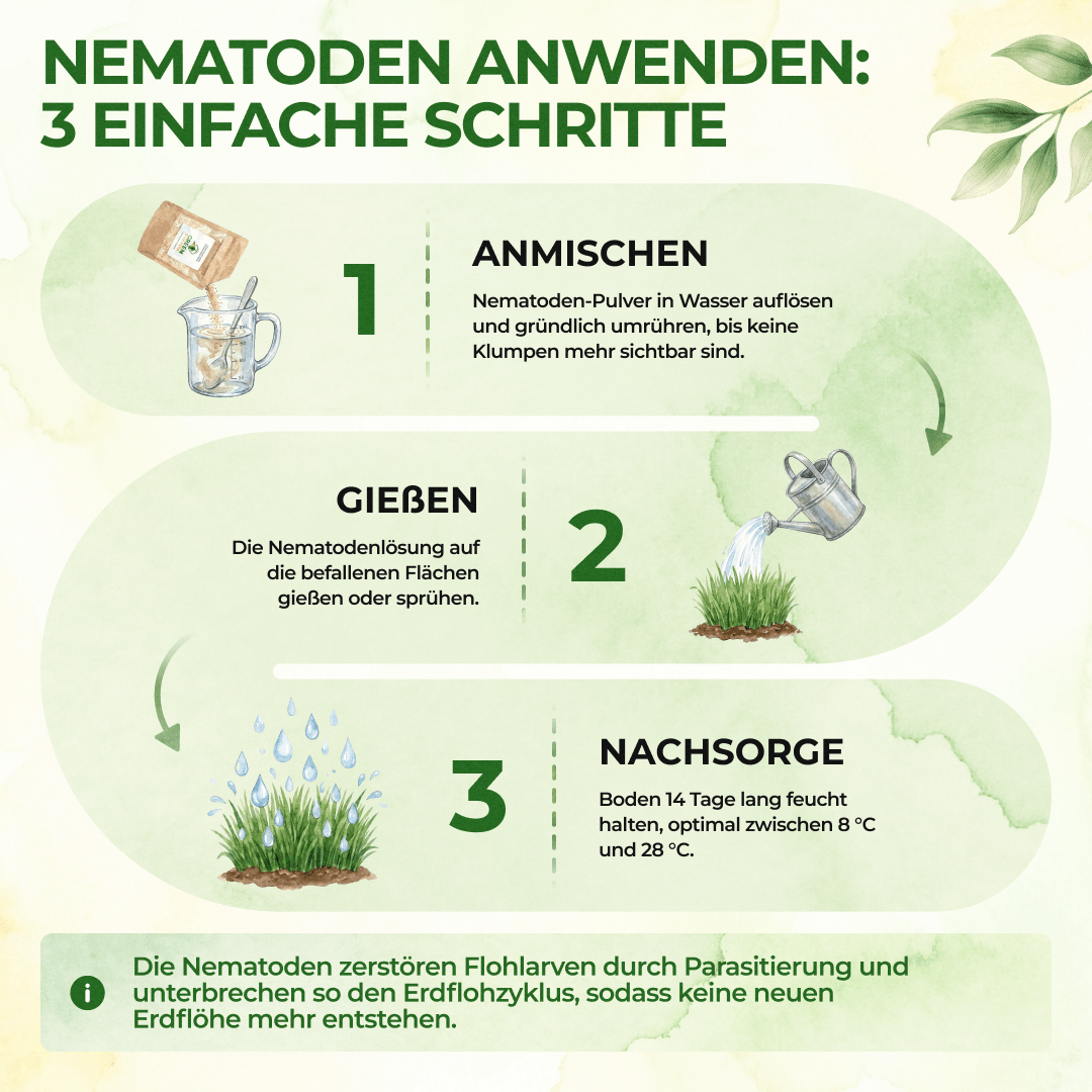 green-guardia-sf-nematoden-erdfl-he-2-mio-f-r-4m image 2