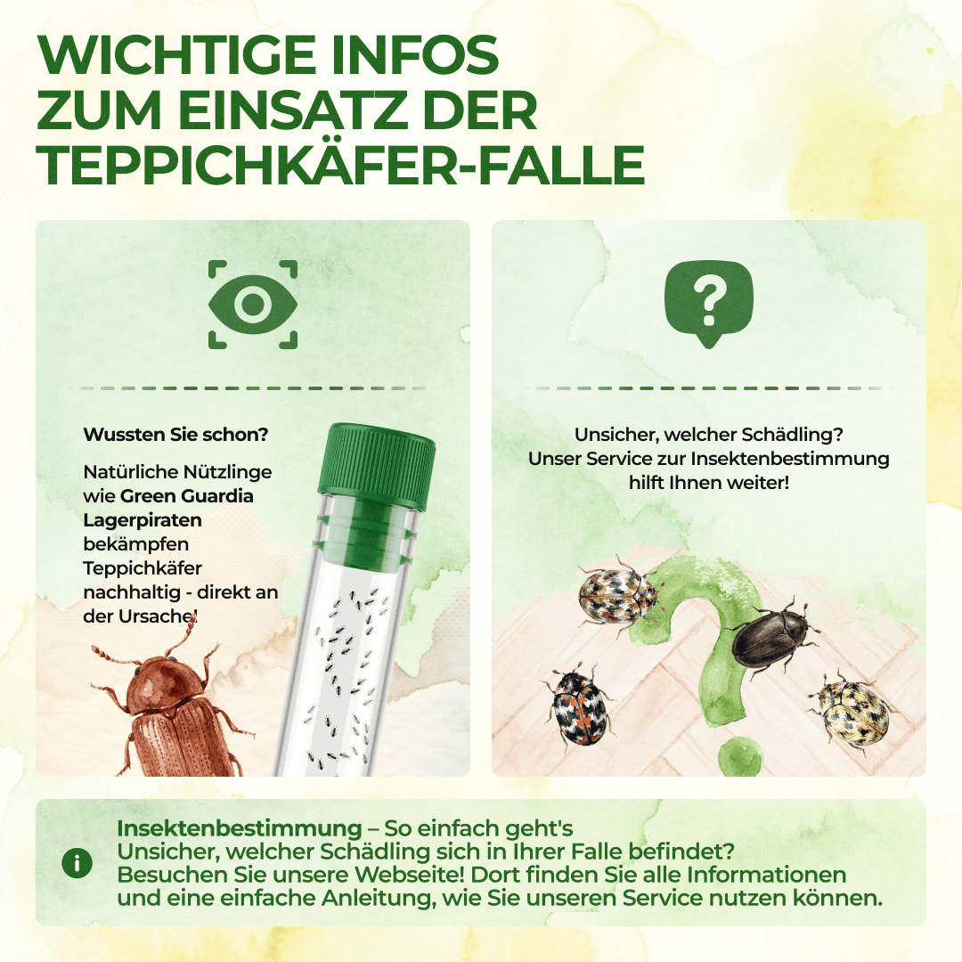 green-guardia-mehrweg-fallen-teppichk-fer-falle-1x-chemiefrei image 7