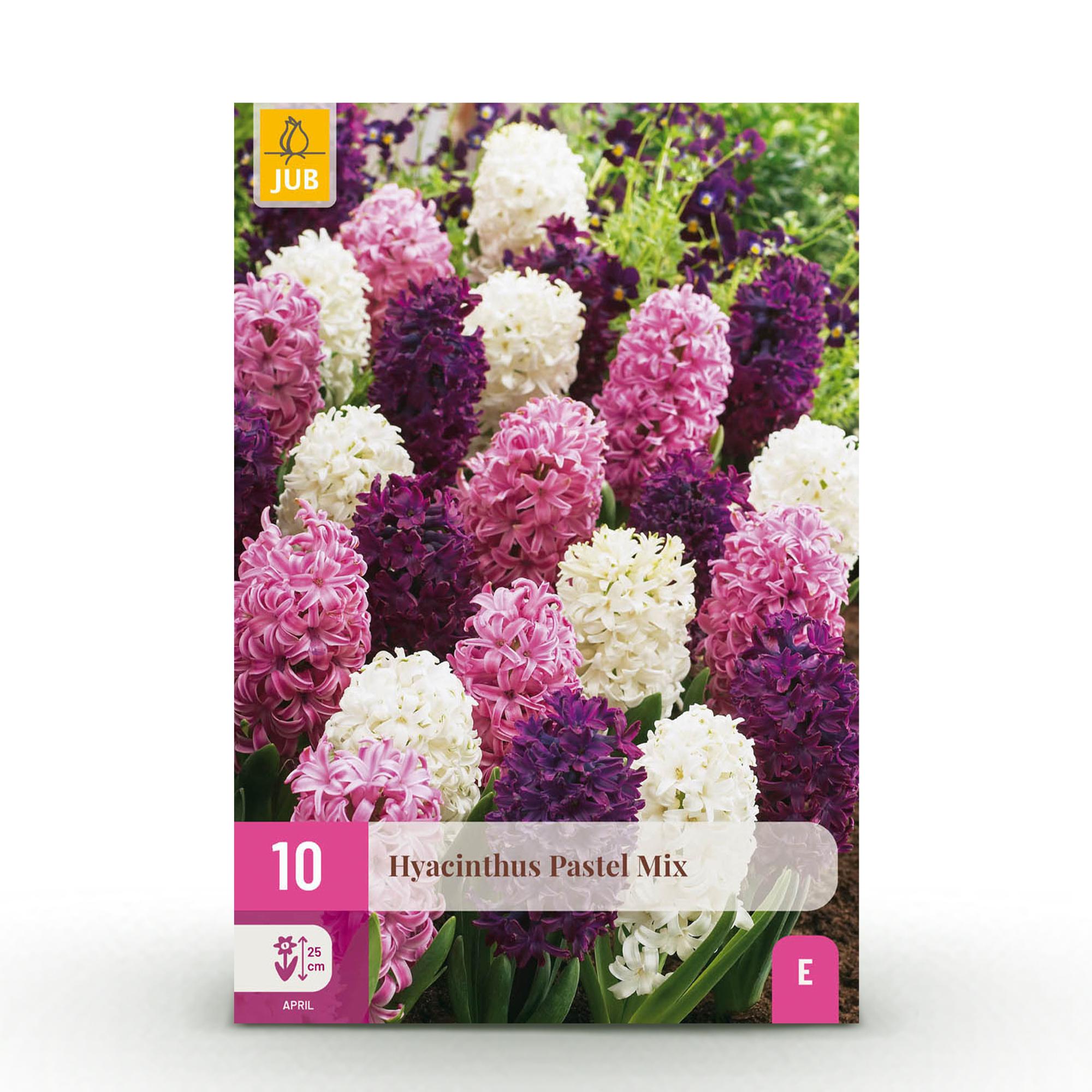 green-guardia-hyazinthe-pastel-mix-blumenzwiebeln-10-st-ck image 1