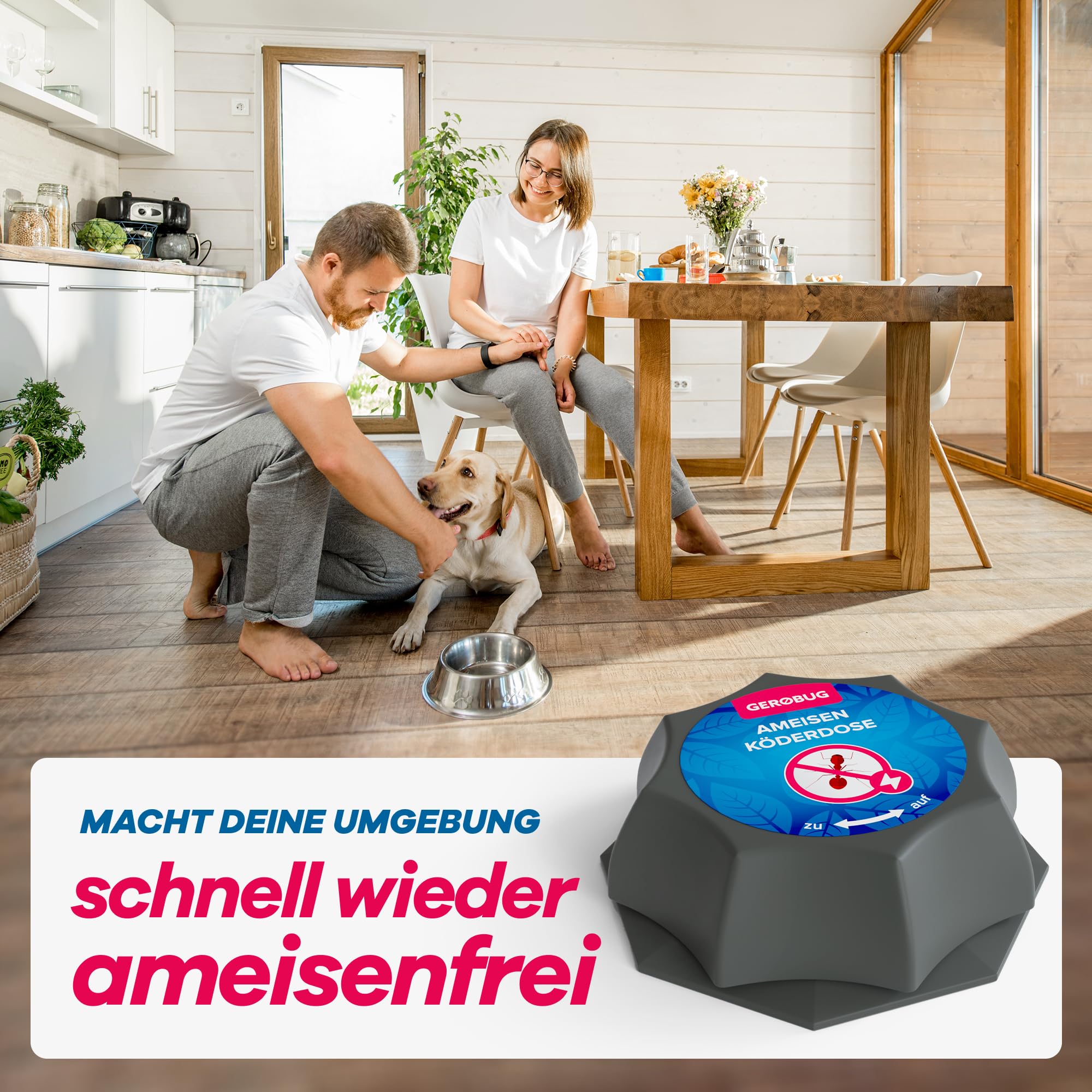 gerobug-ameisen-ameisen-k-derdose-4-stk-wohnbereich image 6