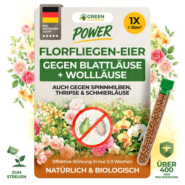 green-guardia-florfliegenlarven-eier-florfliegeneier-1-r-hrchen-10m image 1