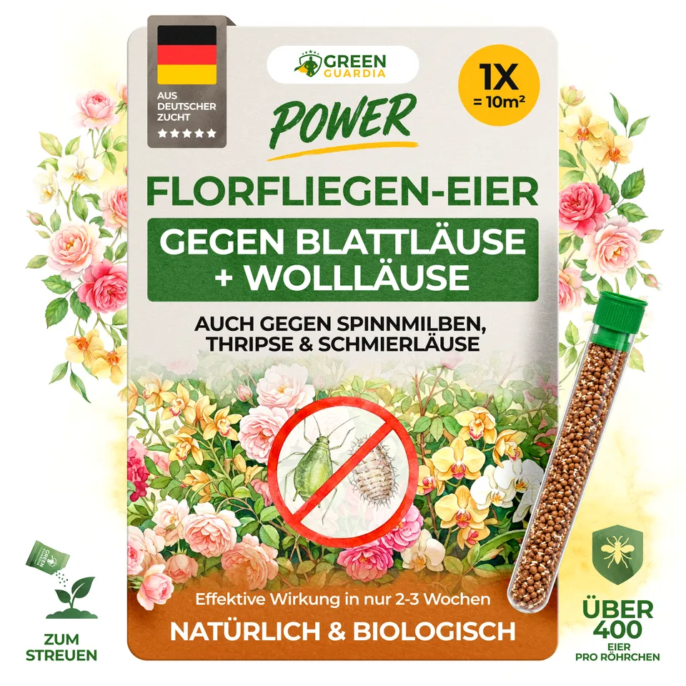 green-guardia-florfliegenlarven-eier-florfliegeneier-1-r-hrchen-10m image 1