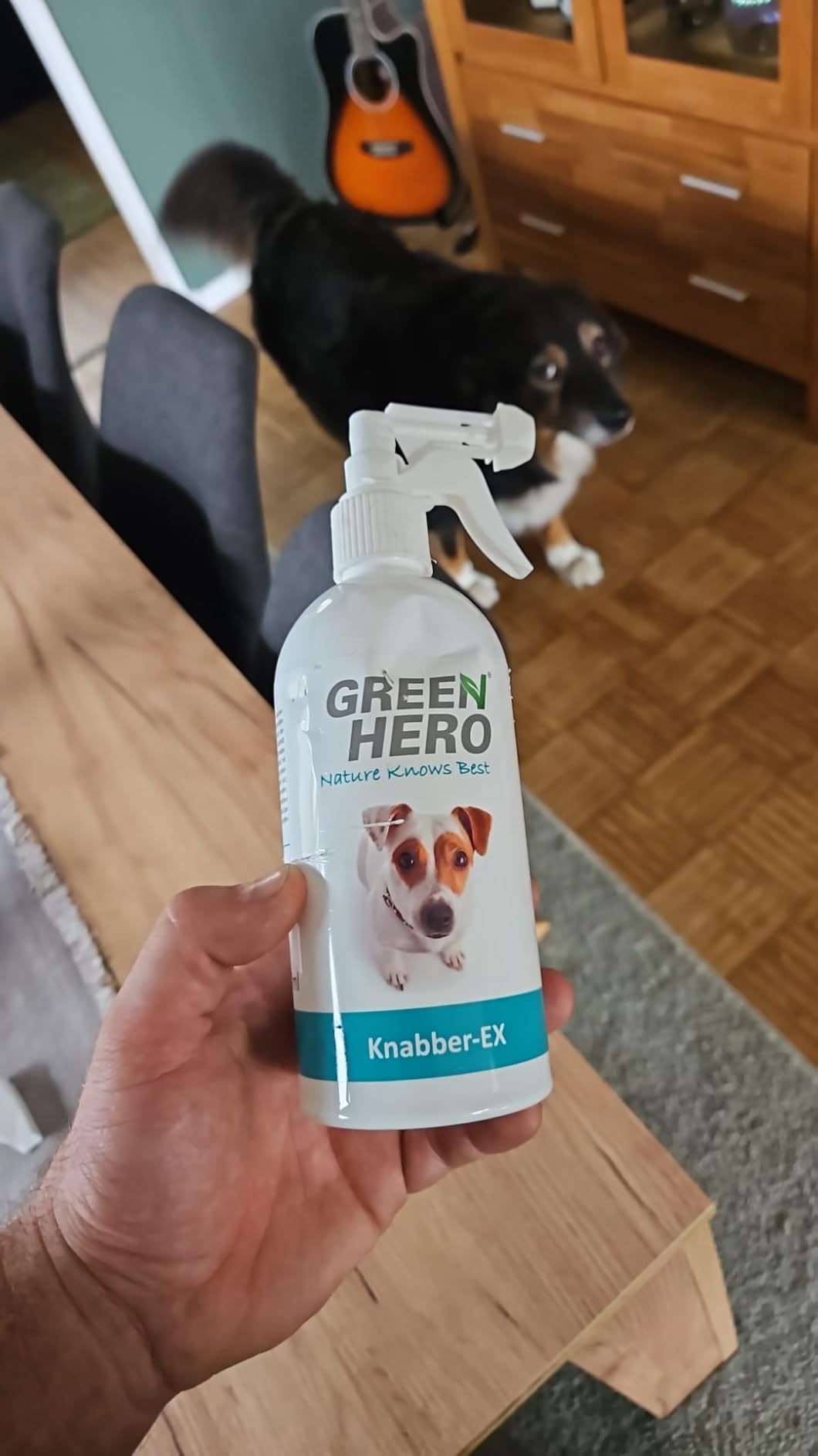 Katze meidet Kabel