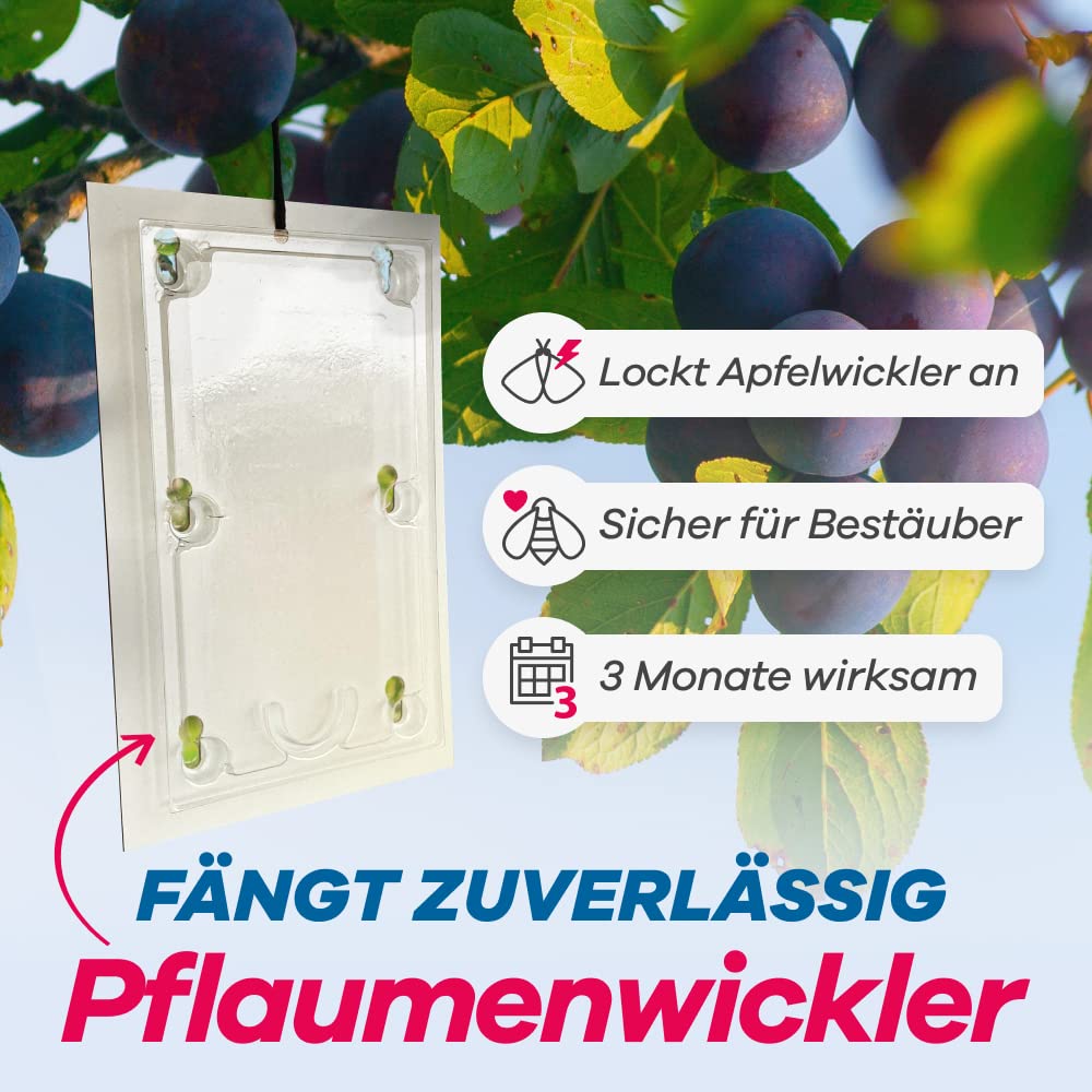 gerobug-pflaumenwickler-pheromonfalle-2-st-ck-berwachung image 2