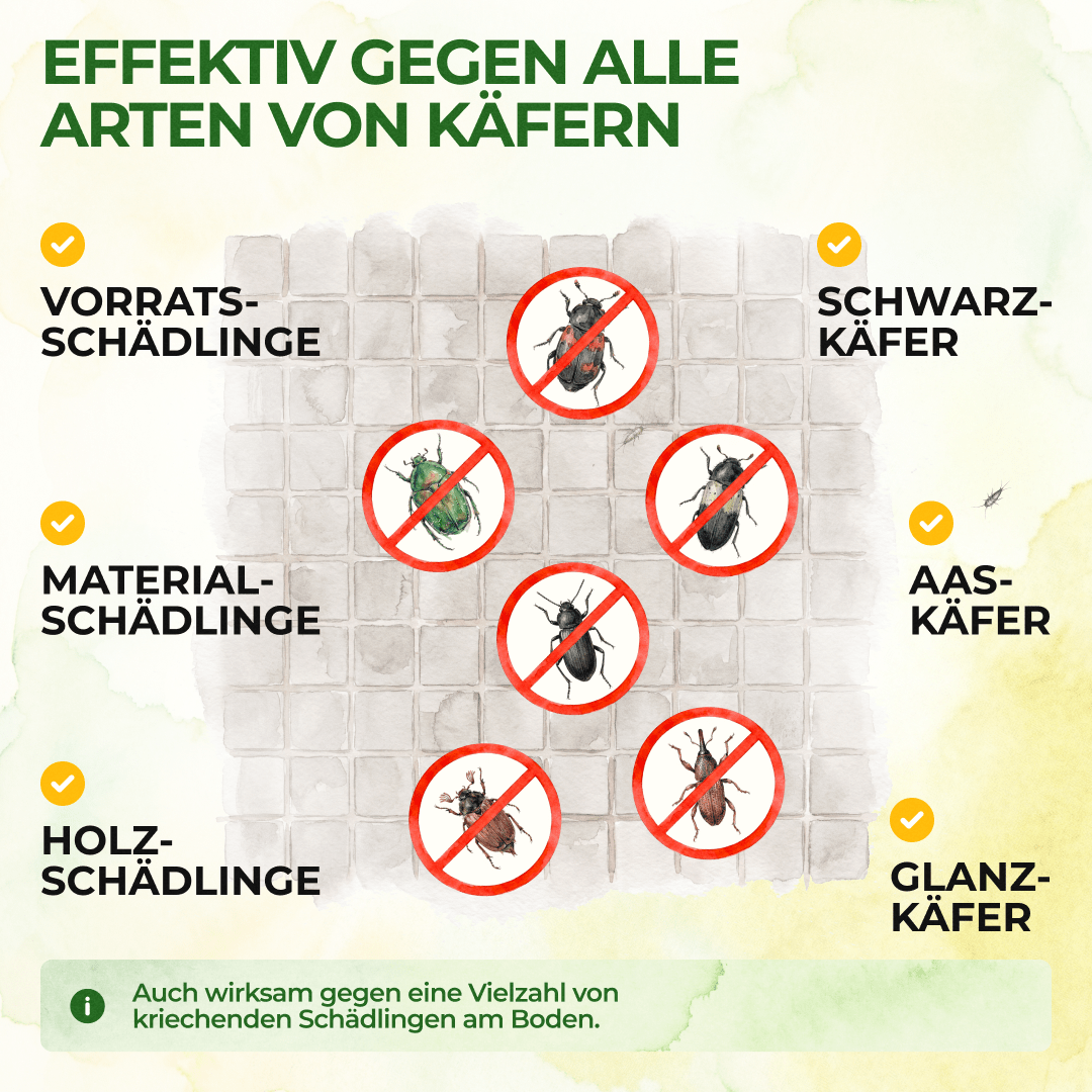 green-guardia-k-fer-falle-klebefalle-3x-fallen-giftfrei image 2