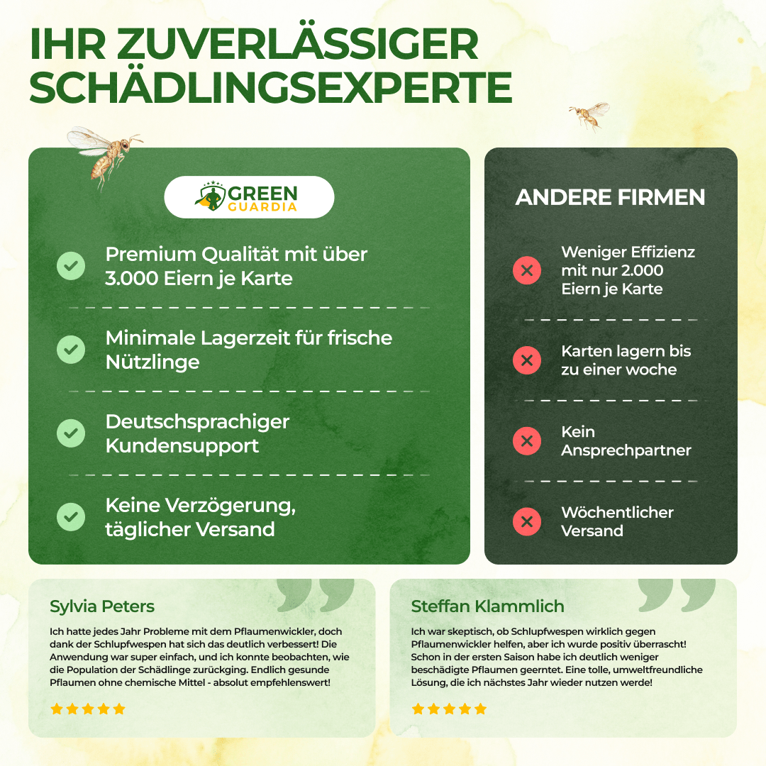 green-guardia-schlupfwespen-gegen-pflaumenwickler-3-karten-n-tzlinge image 8