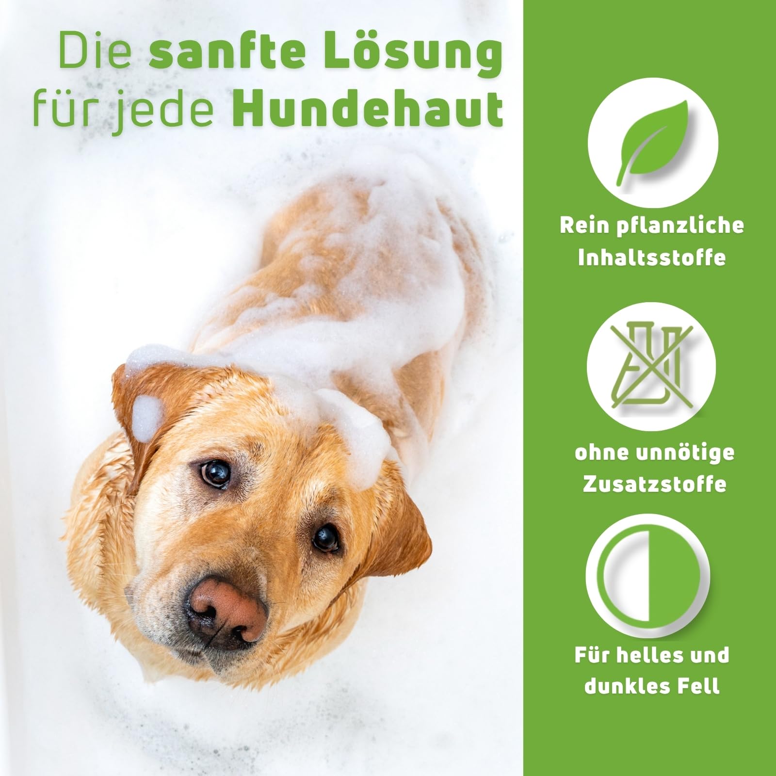 amigard-shampoo-hundeshampoo-sensitiv-250-ml-neem-l image 3