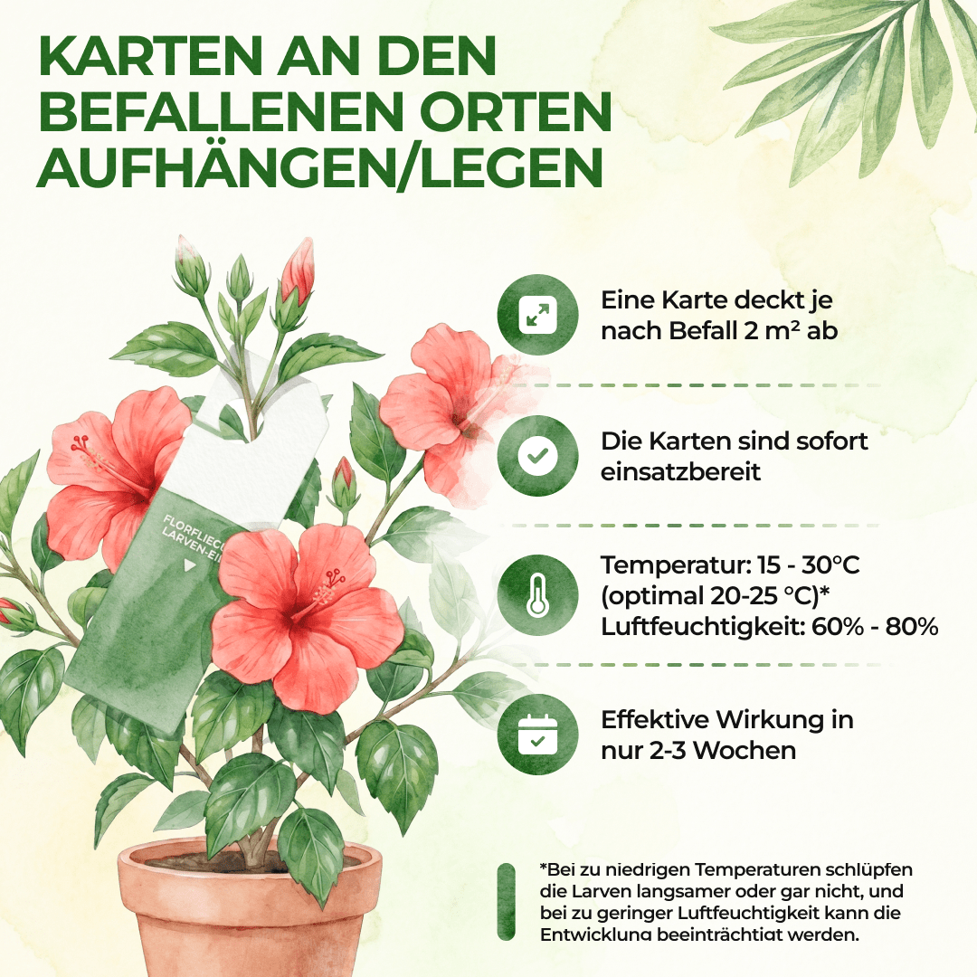 green-guardia-florfliegenlarven-eier-n-tzlinge-gegen-blattl-use-1-karte image 5