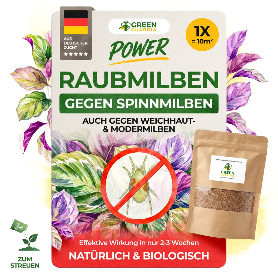 green-guardia-raubmilben-n-tzlinge-spinnmilben-1x-f-r-10m image 1