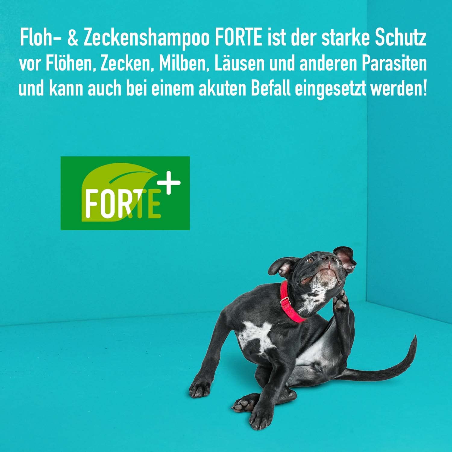 greenhero-haustiere-zeckenshampoo-forte-hund-250-ml-ec-l image 4