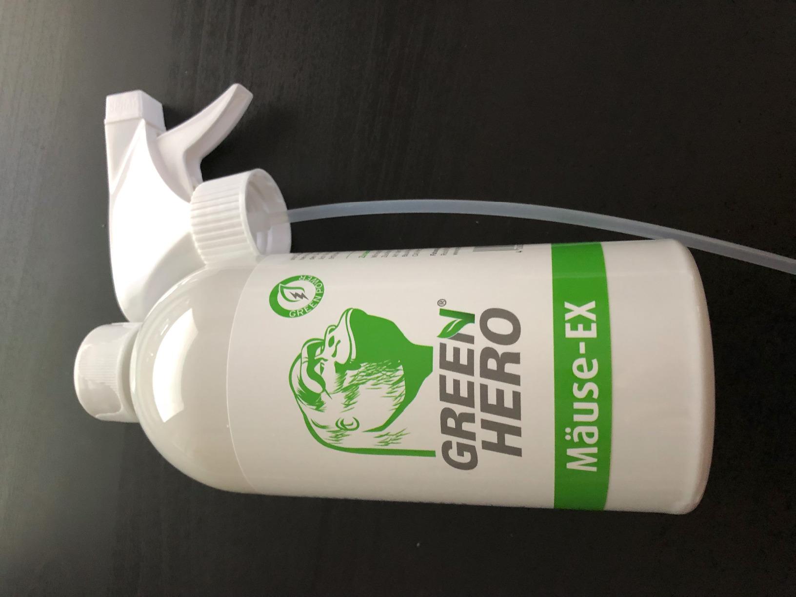 Dachboden leer