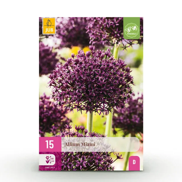 green-guardia-allium-miami-blumenzwiebeln-15-st-ck-lila image 1