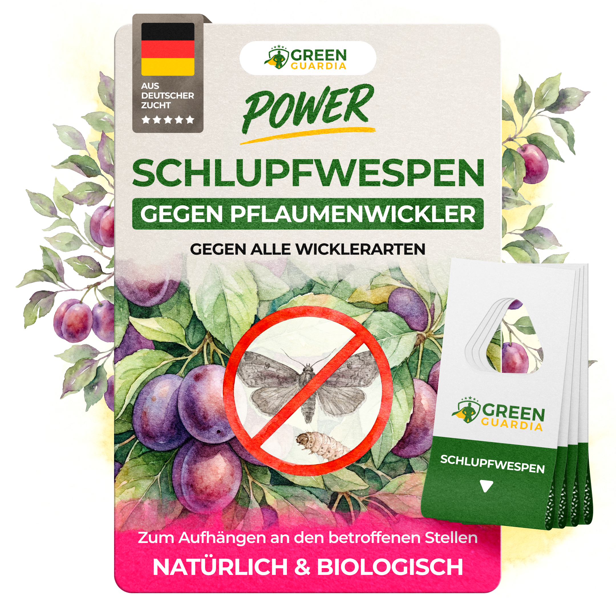 green-guardia-schlupfwespen-gegen-pflaumenwickler-3-karten-n-tzlinge image 1