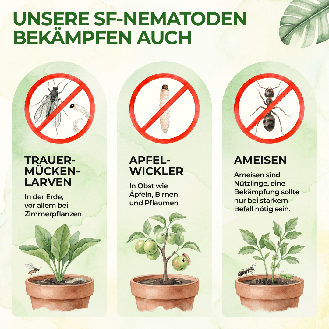 green-guardia-nematoden-sf-trauerm-cken-n-tzlinge-1-mio-2qm image 3