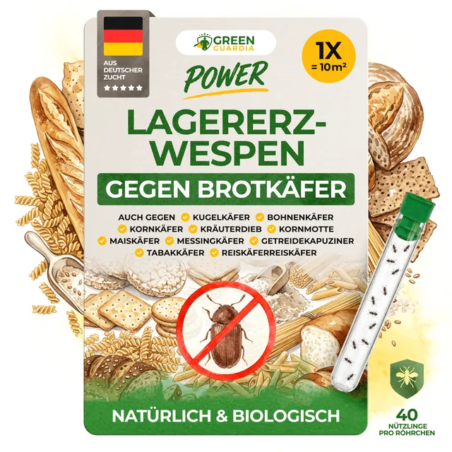 green-guardia-weitere-n-tzlinge-lagererzwespen-brotk-fer-40-st-ck-10-m image 1