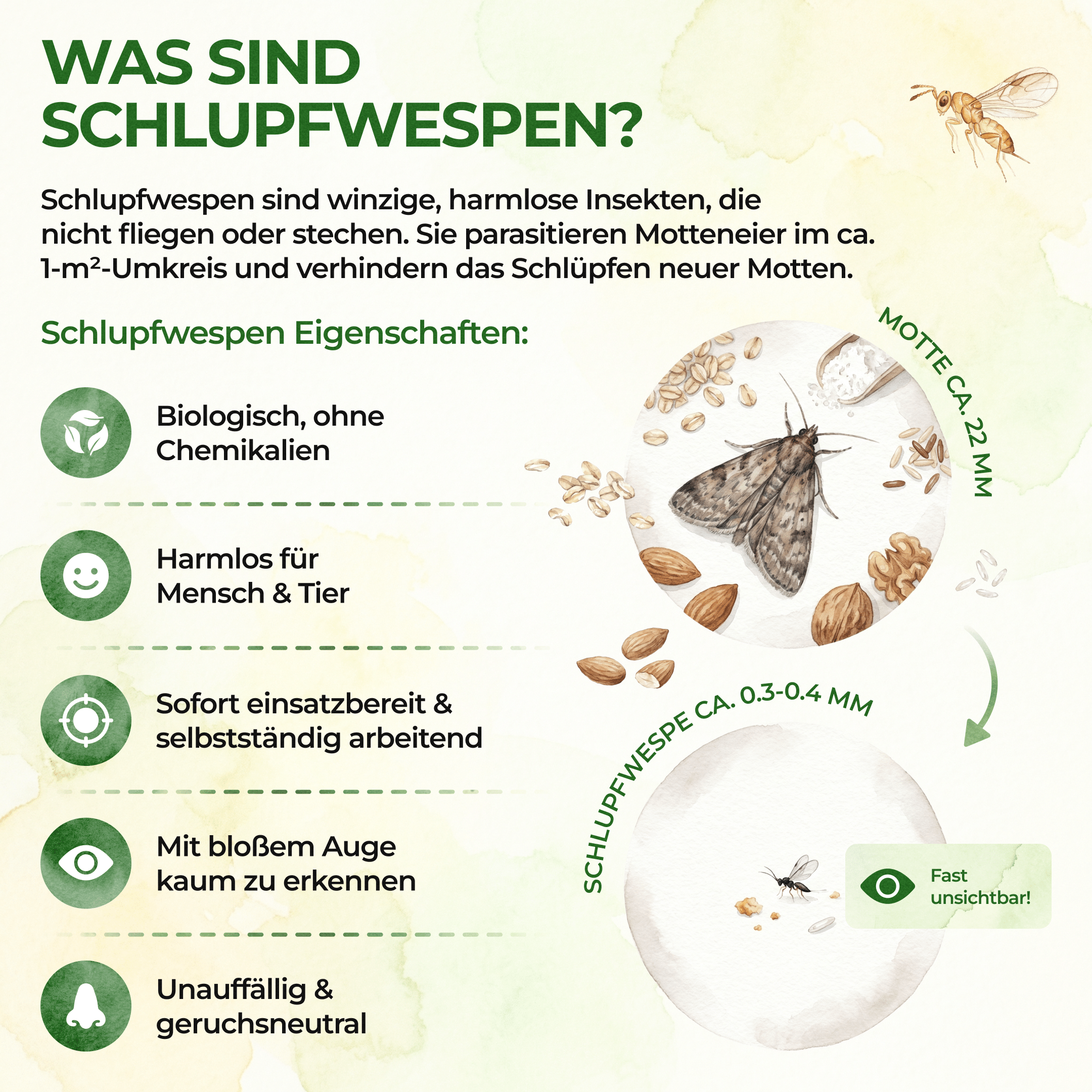 green-guardia-schlupfwespen-gegen-lebensmittelmotten-3-karten image 3