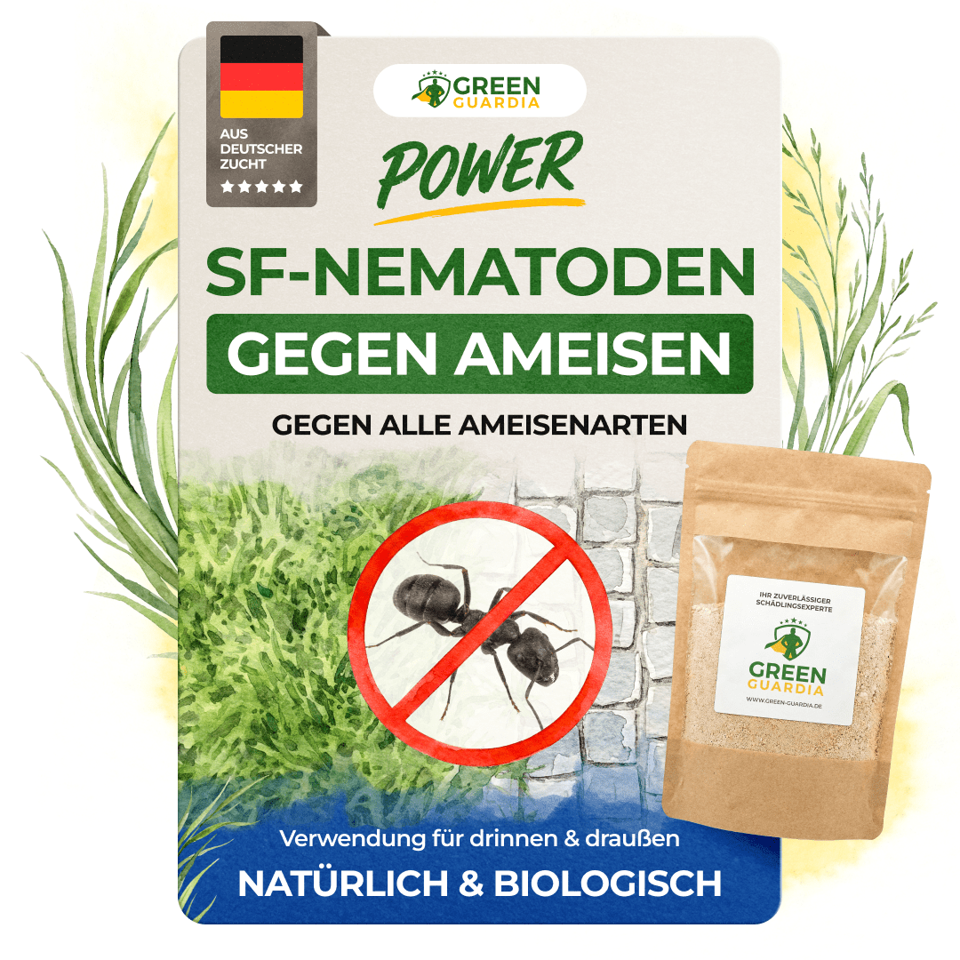 green-guardia-nematoden-sf-nematoden-gegen-ameisen-0-5-mio-1m image 1