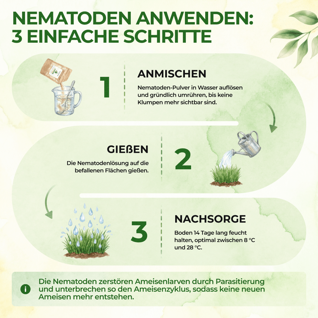 green-guardia-nematoden-sf-nematoden-gegen-ameisen-0-5-mio-1m image 2