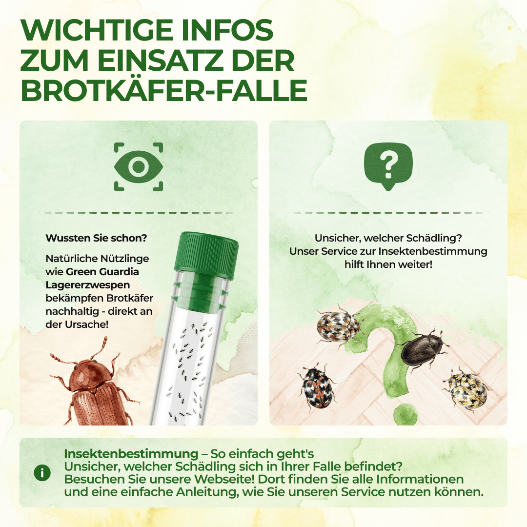 green-guardia-mehrweg-fallen-brotk-fer-falle-klebefalle-wiederverwendbar image 7