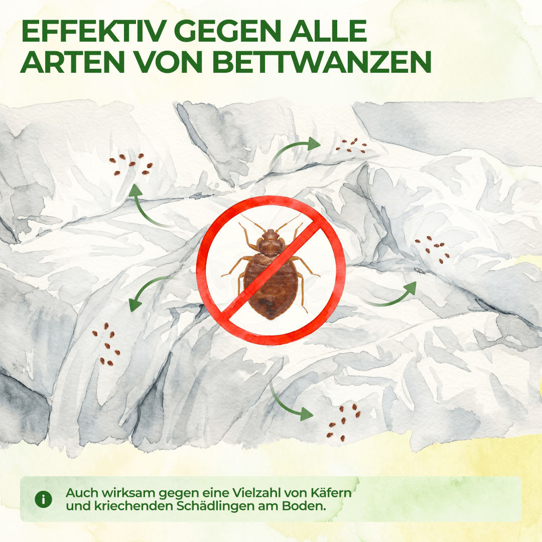 green-guardia-mehrweg-bettwanzen-falle-giftfrei-3x-fallen image 2