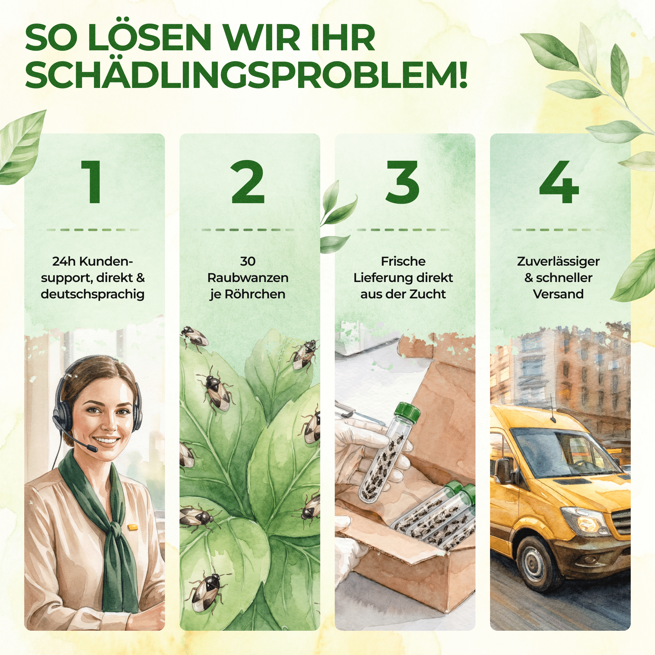 green-guardia-orius-raubwanzen-gegen-thripse-30-n-tzlinge-5-10-m image 5