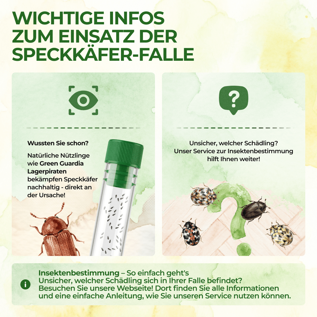green-guardia-mehrweg-speckk-fer-falle-pheromon-klebefalle-1x-falle image 7