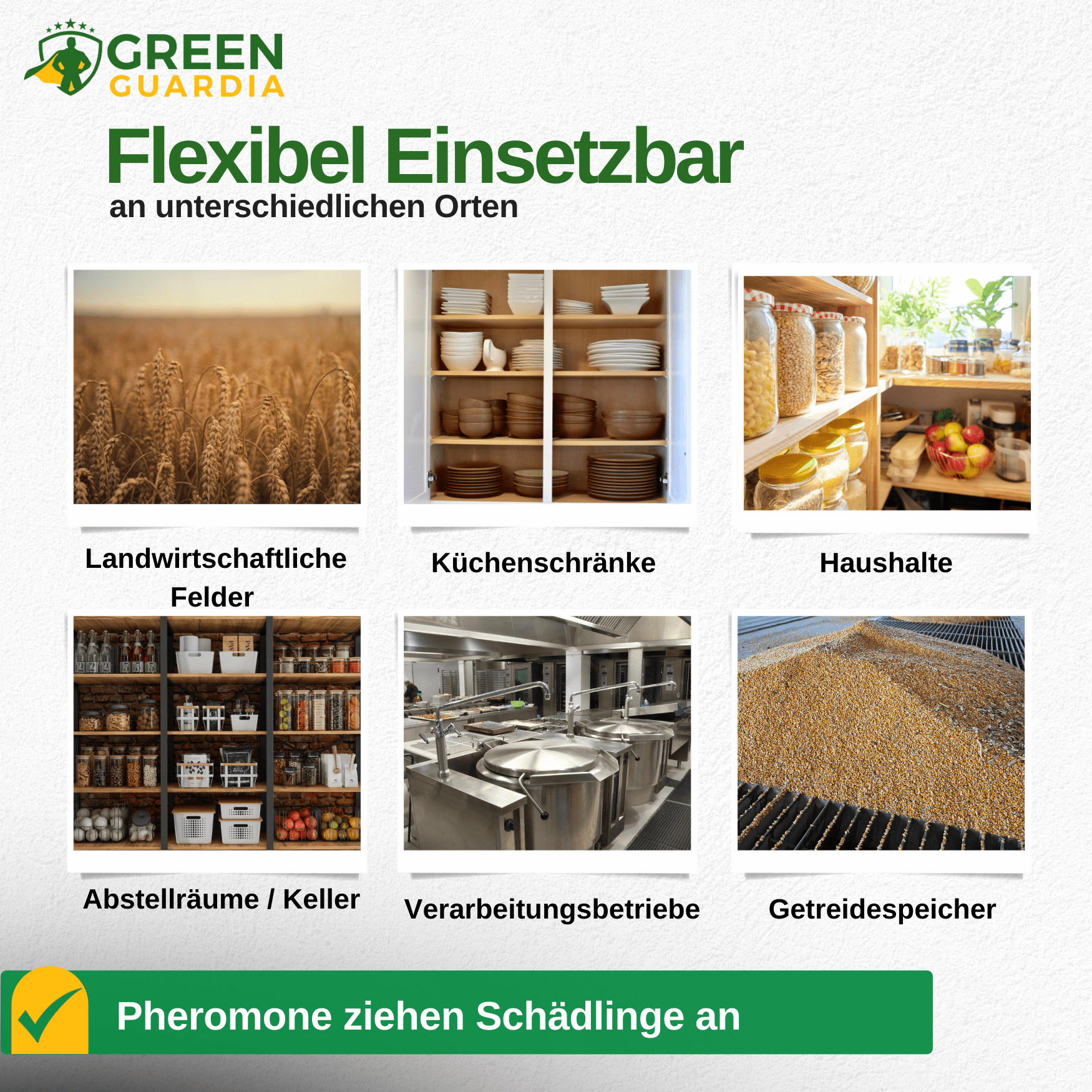 green-guardia-mehrweg-fallen-kornk-fer-klebefalle-1-falle image 5