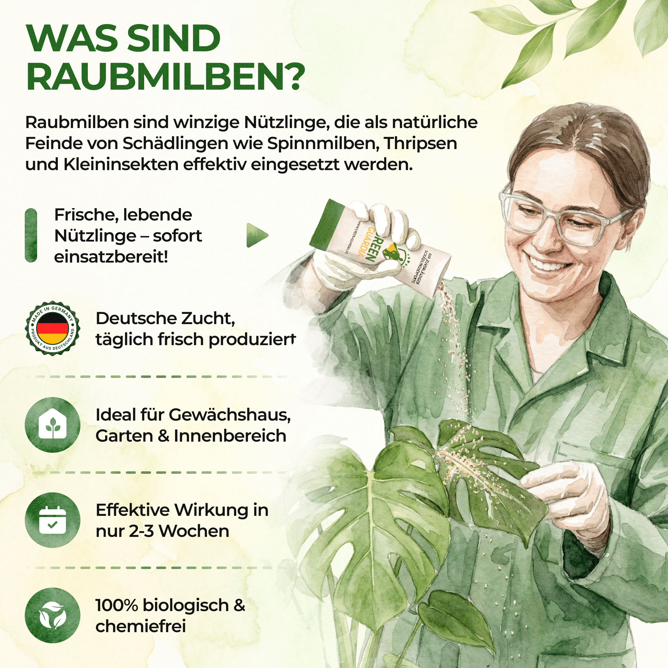 green-guardia-swirskii-raubmilben-gegen-thripse-1-t-te image 7