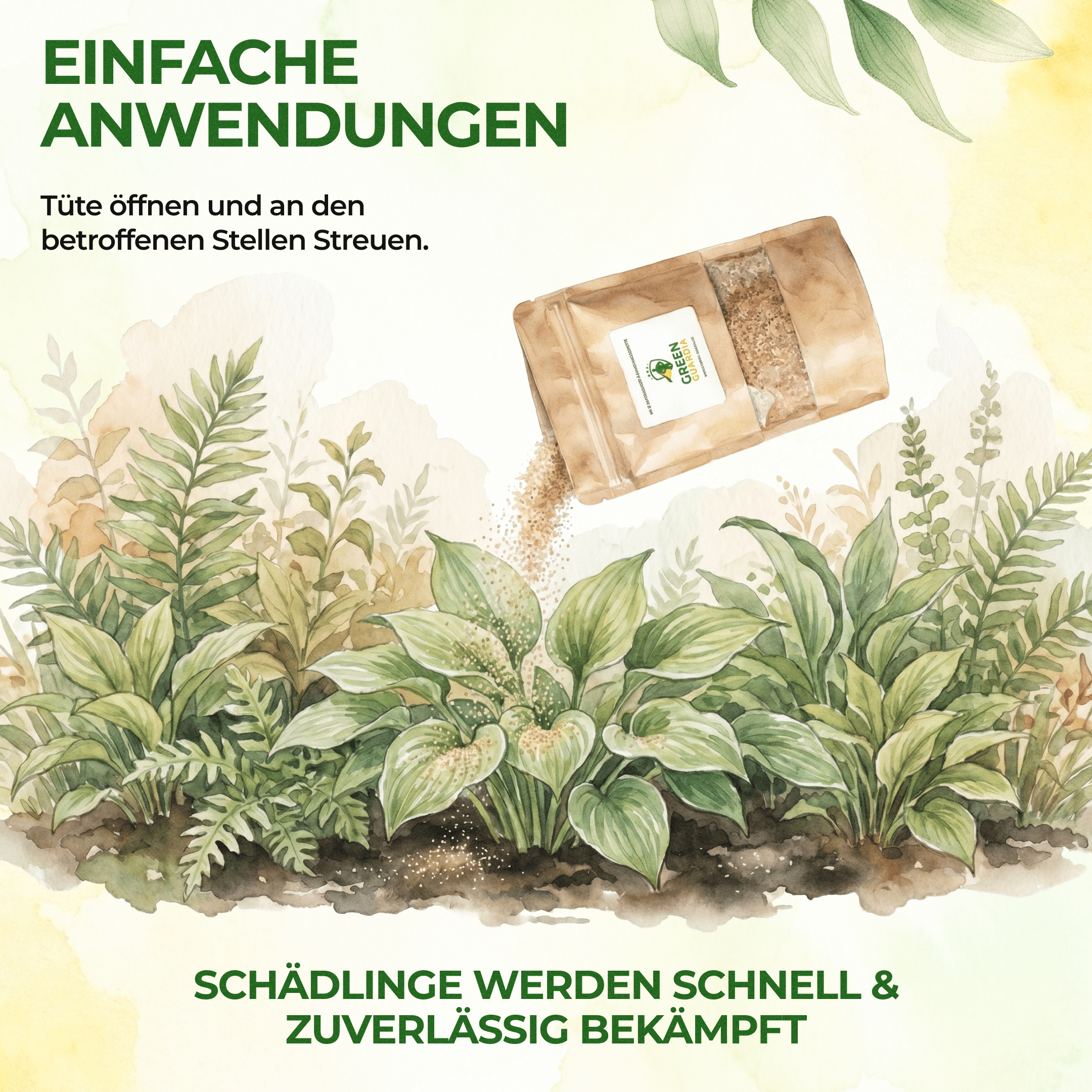 green-guardia-raubmilben-n-tzlinge-spinnmilben-1x-f-r-10m image 4