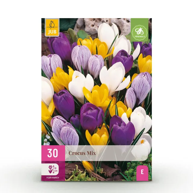 green-guardia-crocus-large-flowering-mix-blumenzwiebeln-30-st-ck-bunt image 1