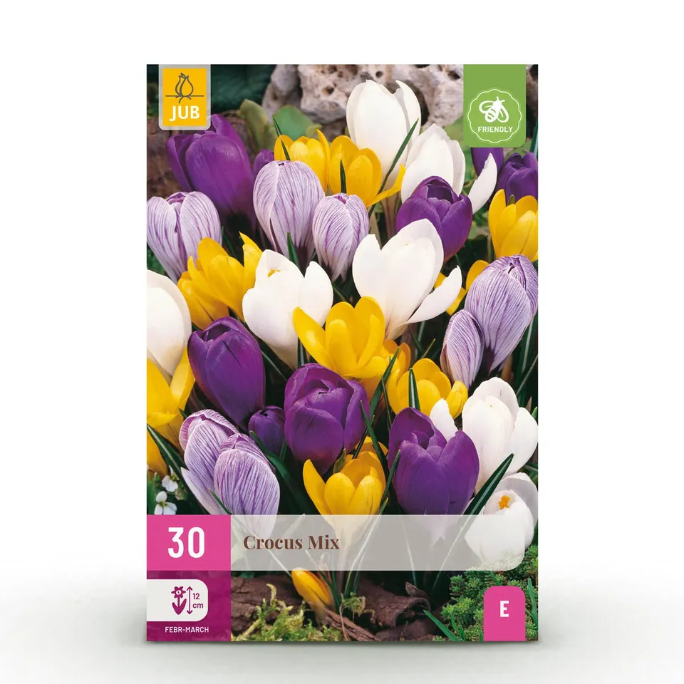 green-guardia-crocus-large-flowering-mix-blumenzwiebeln-30-st-ck-bunt image 1