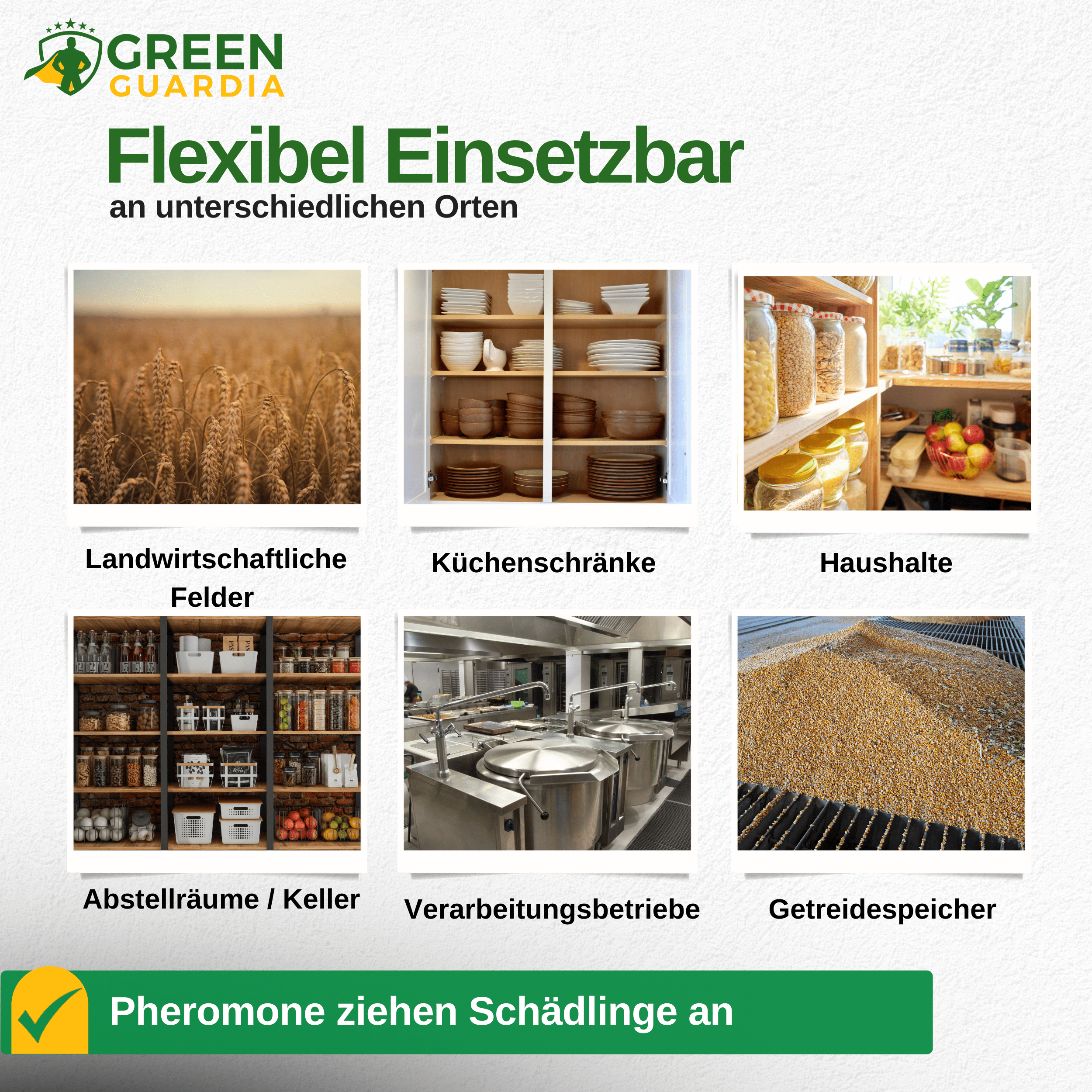 green-guardia-papier-fallen-pheromon-folien-klebefalle-3x-brotk-fer image 4