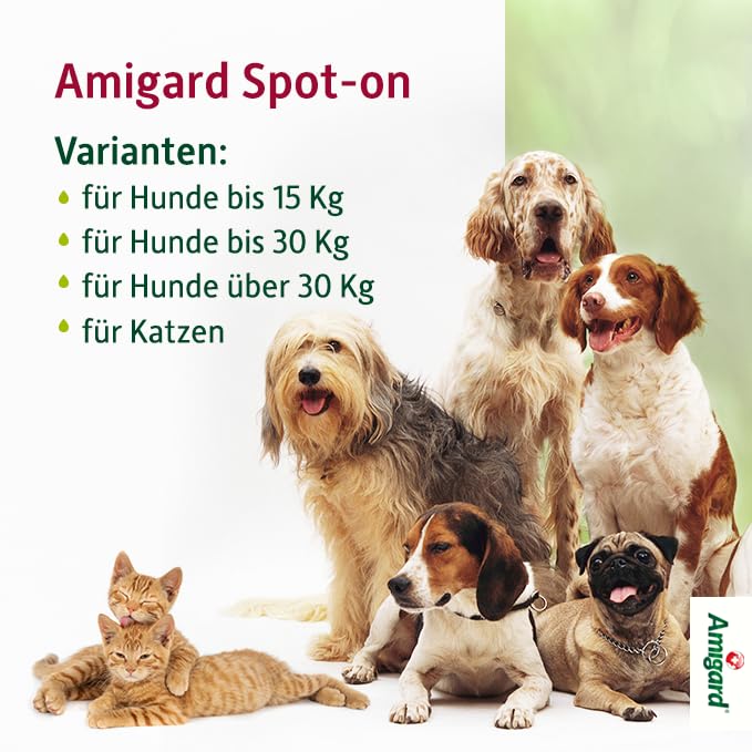 amigard-spot-on-katzen-dreierpack-gegen-zecken-pflanzlich image 8