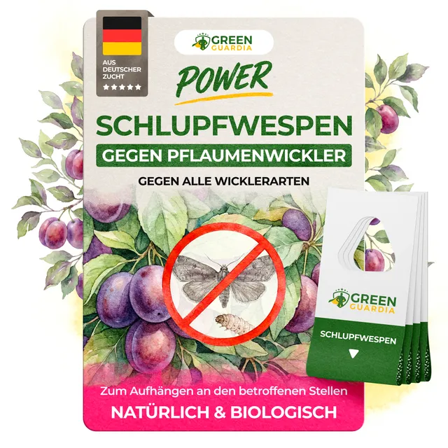 green-guardia-schlupfwespen-gegen-pflaumenwickler-3-karten-n-tzlinge image 1