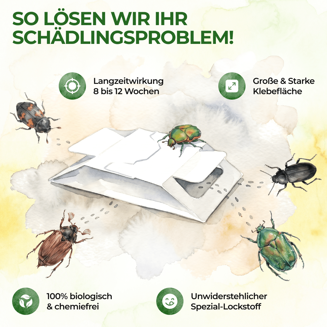 green-guardia-k-fer-falle-klebefalle-3x-fallen-giftfrei image 6