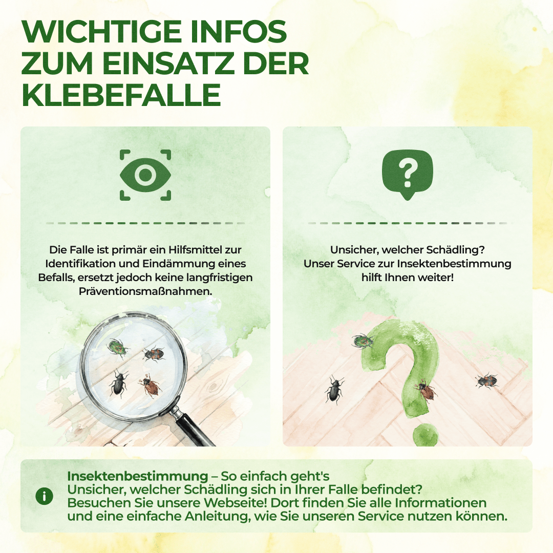 green-guardia-k-fer-falle-klebefalle-3x-fallen-giftfrei image 7