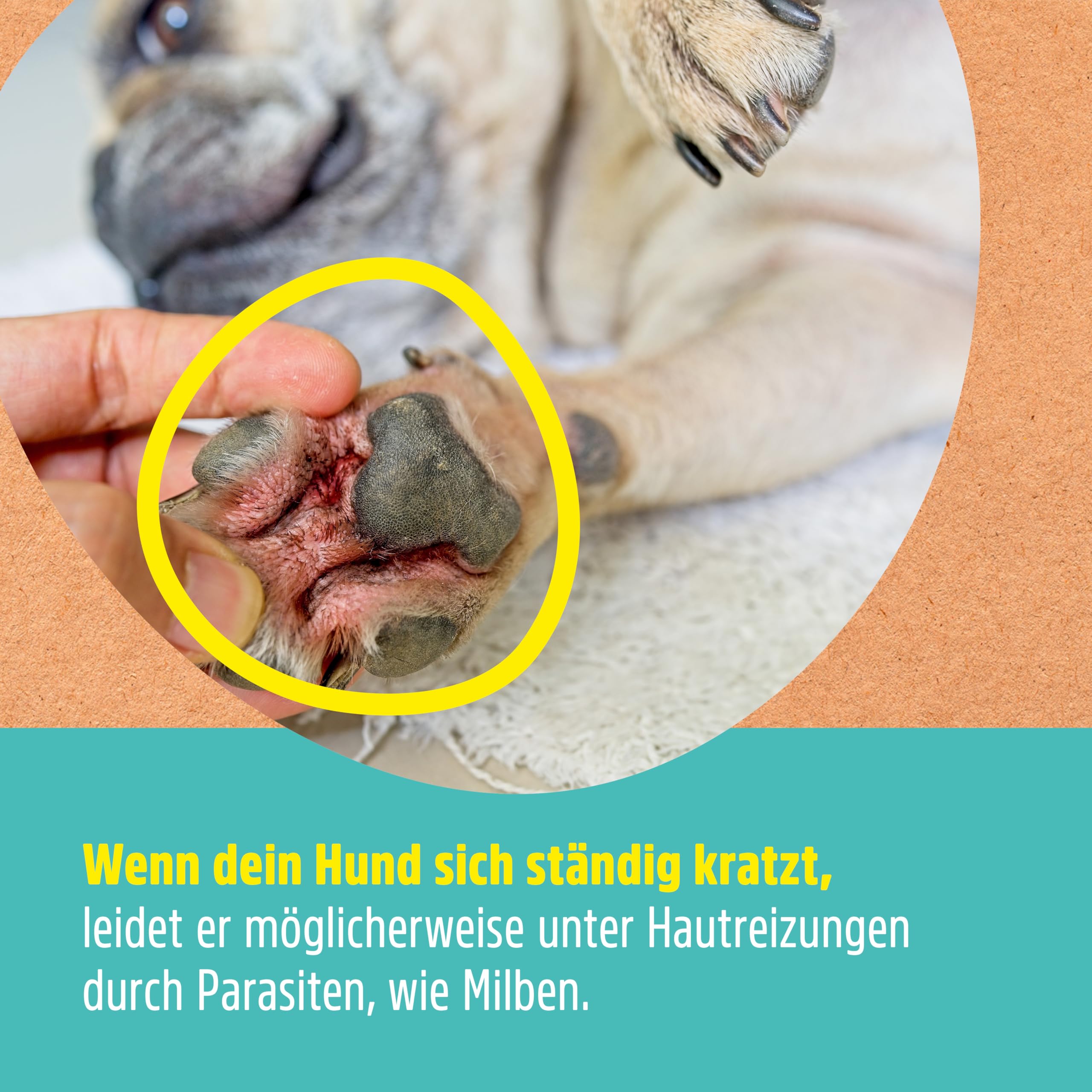 green-hero-haustiere-milbenspray-juckreiz-500-ml-hund-katze image 4