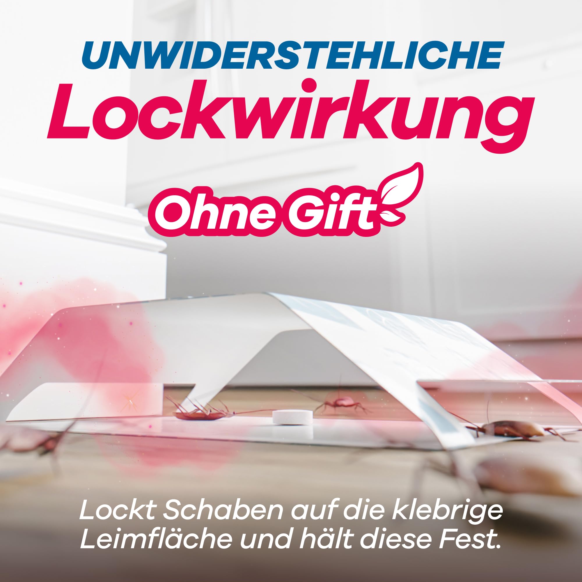 gerobug-schaben-schaben-falle-12-st-ck-giftfrei-zur-berwachung image 4