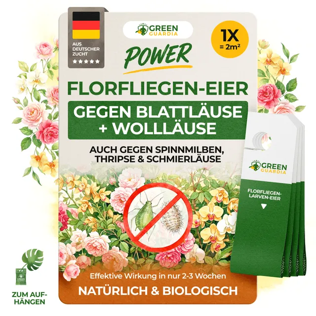 green-guardia-florfliegenlarven-eier-n-tzlinge-gegen-blattl-use-1-karte image 1