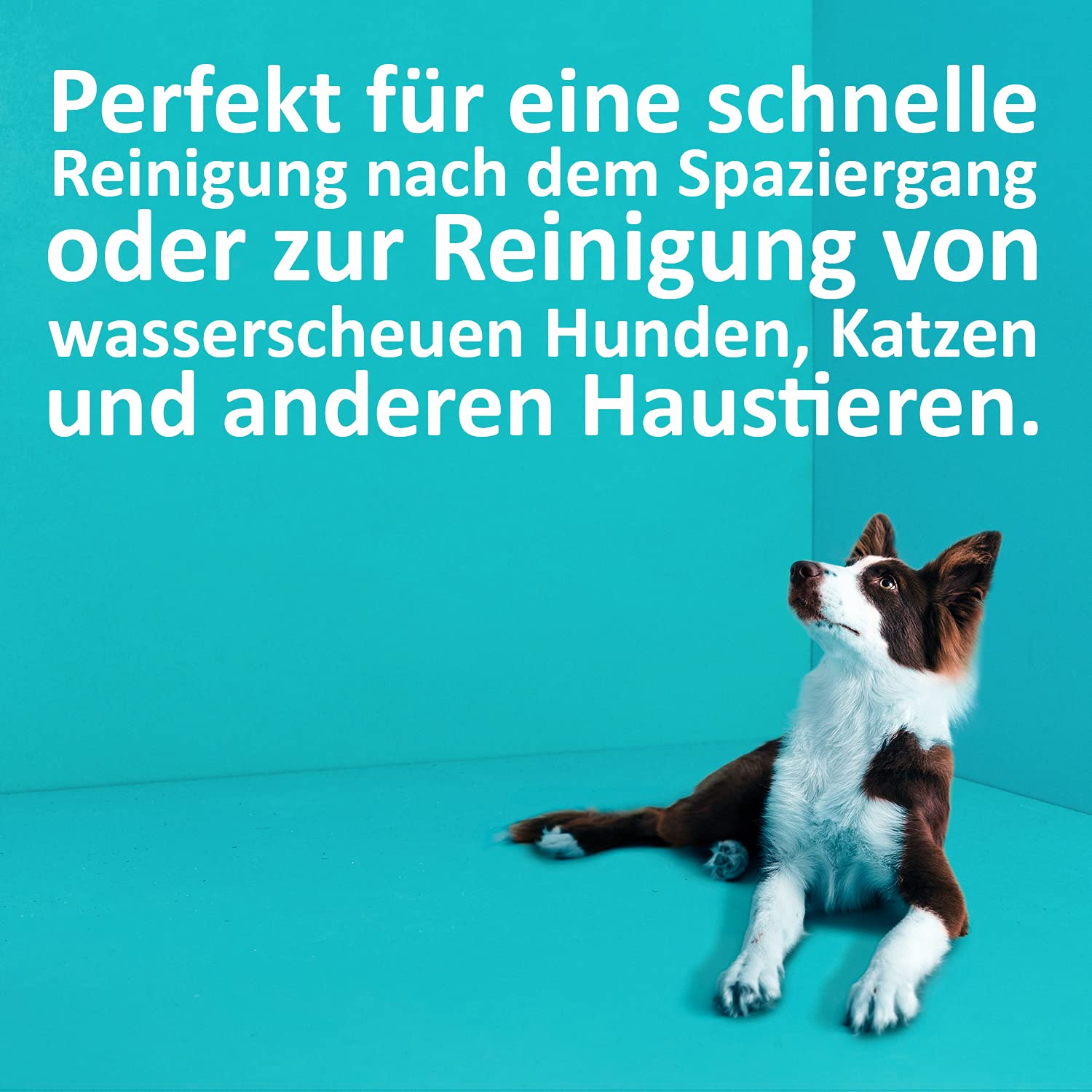 greenhero-haustiere-leave-in-hundeshampoo-500-ml-geruchsneutral image 4