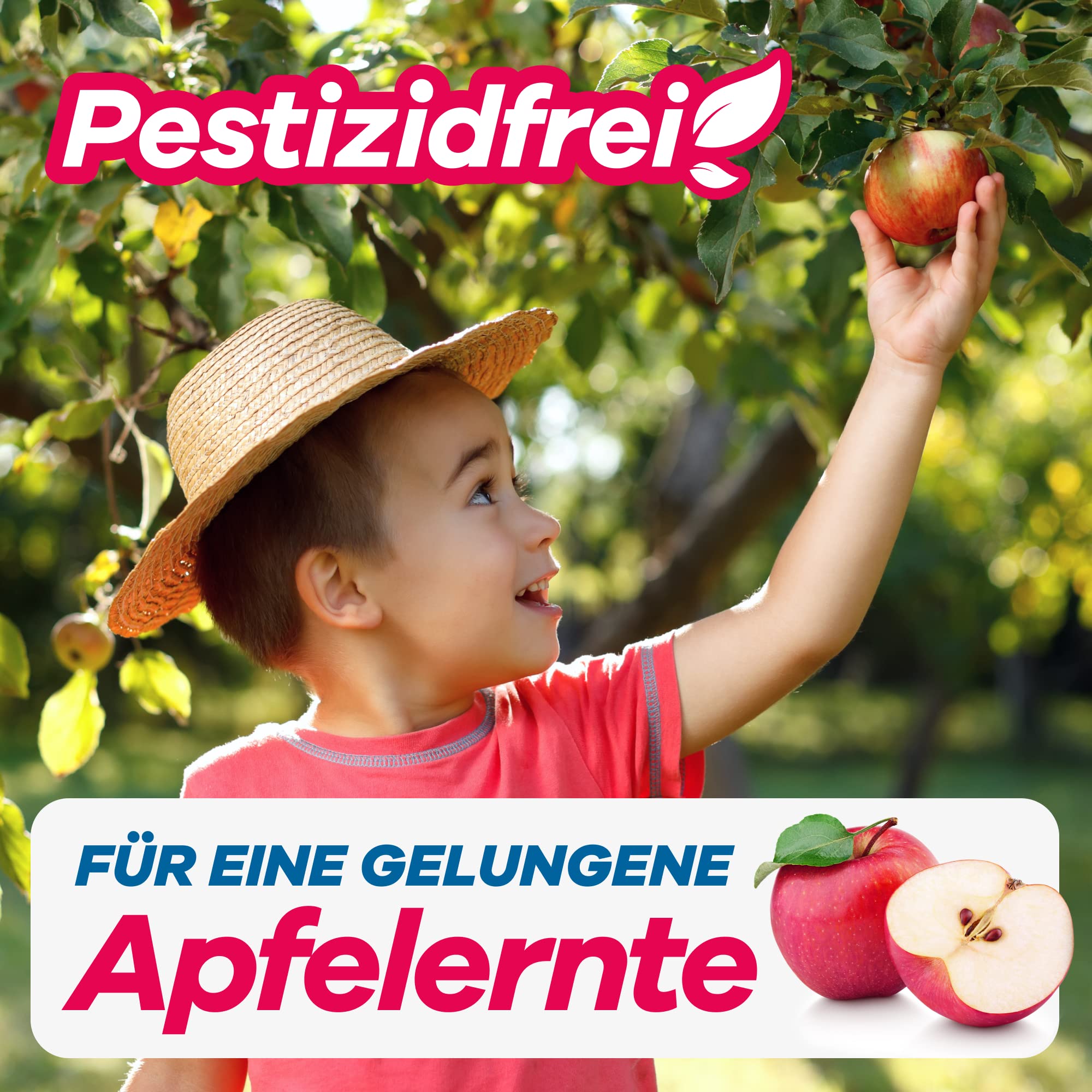 gerobug-apfelwickler-pheromonfalle-2-st-ck-apfelbaum image 3