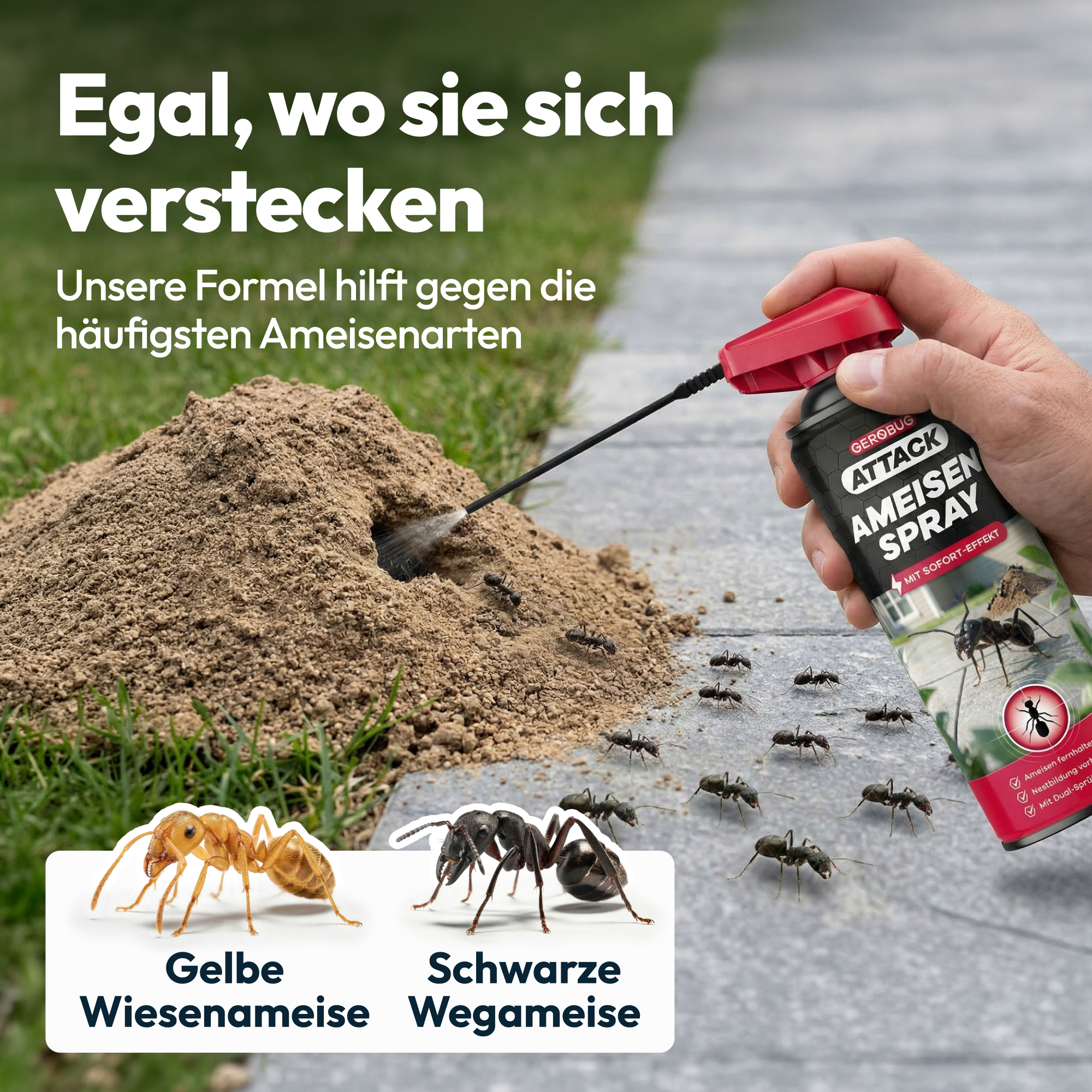gerobug-attack-ameisen-spray-ameisenmittel-mit-2-in-1-lanze image 6