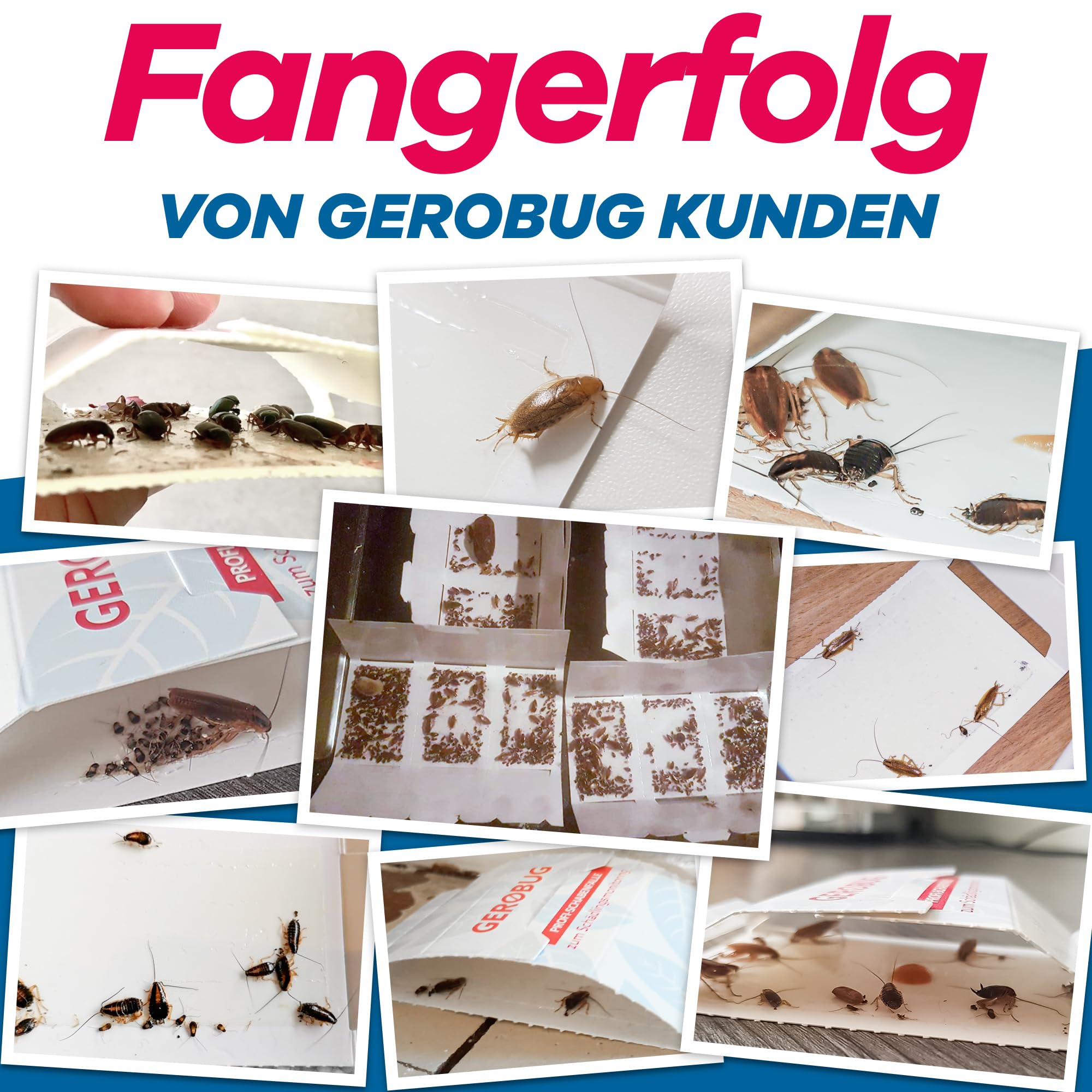 gerobug-schaben-schaben-falle-12-st-ck-giftfrei-zur-berwachung image 7