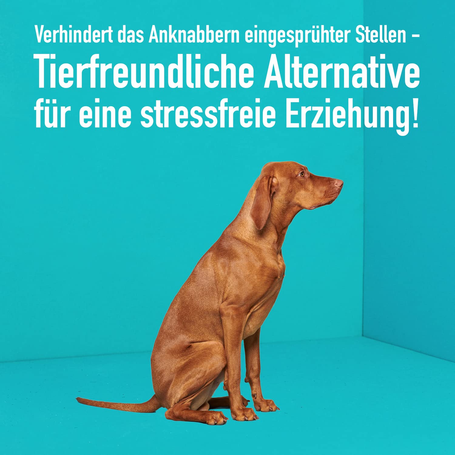greenhero-knabber-ex-anti-knabber-spray-hund-katze-250-ml-bitter image 4