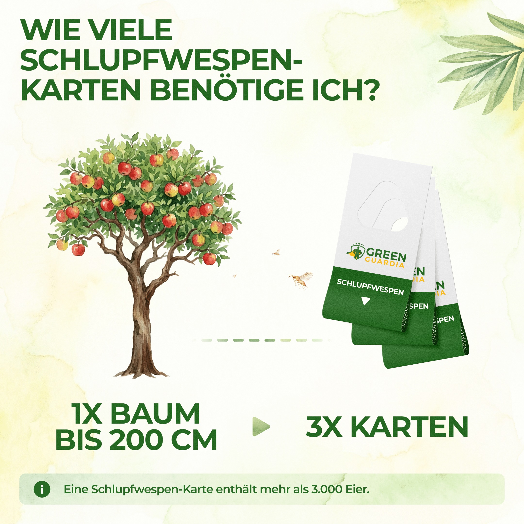 green-guardia-schlupfwespen-gegen-apfelwickler-n-tzlinge-3-karten image 4