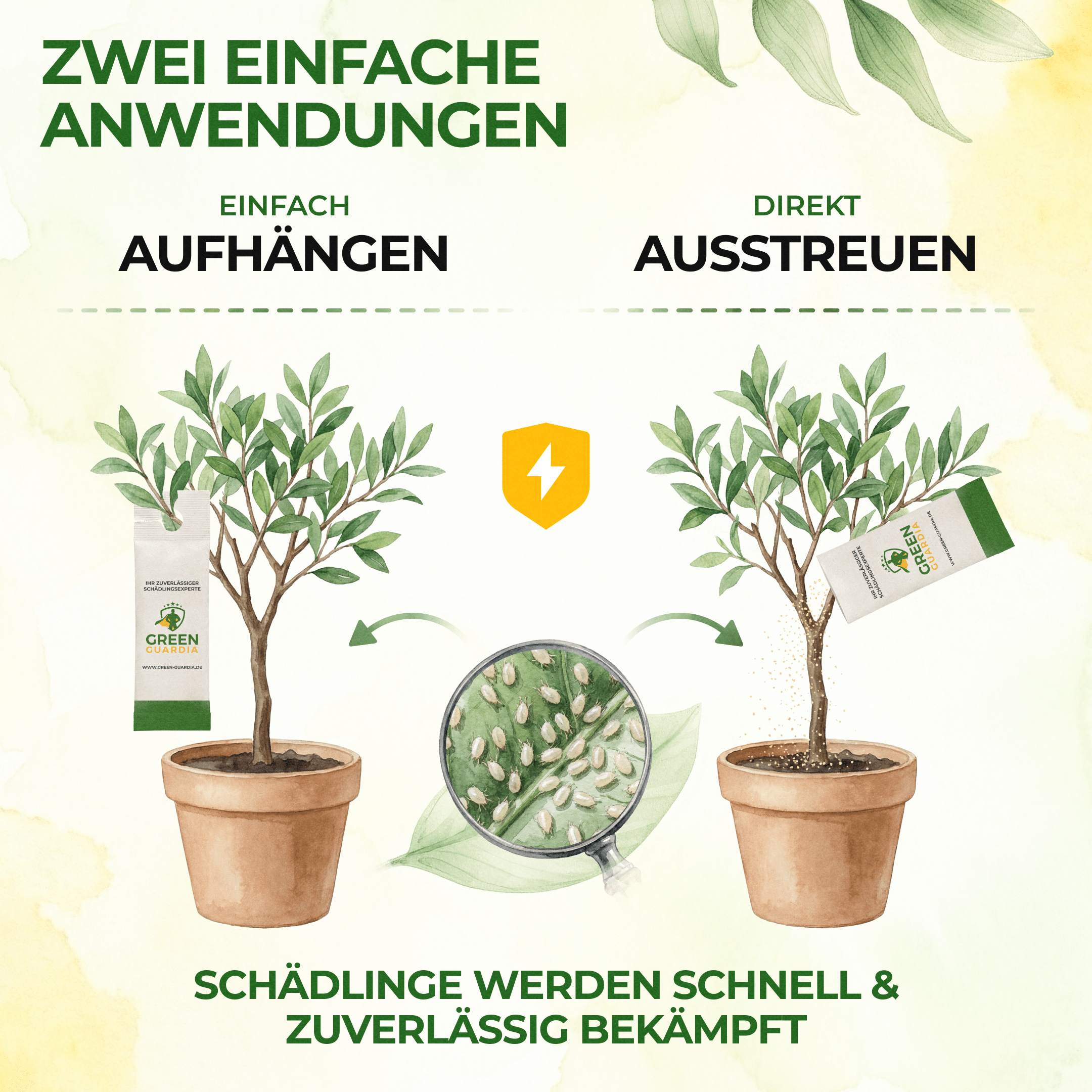 green-guardia-swirskii-raubmilben-gegen-thripse-1-t-te image 3