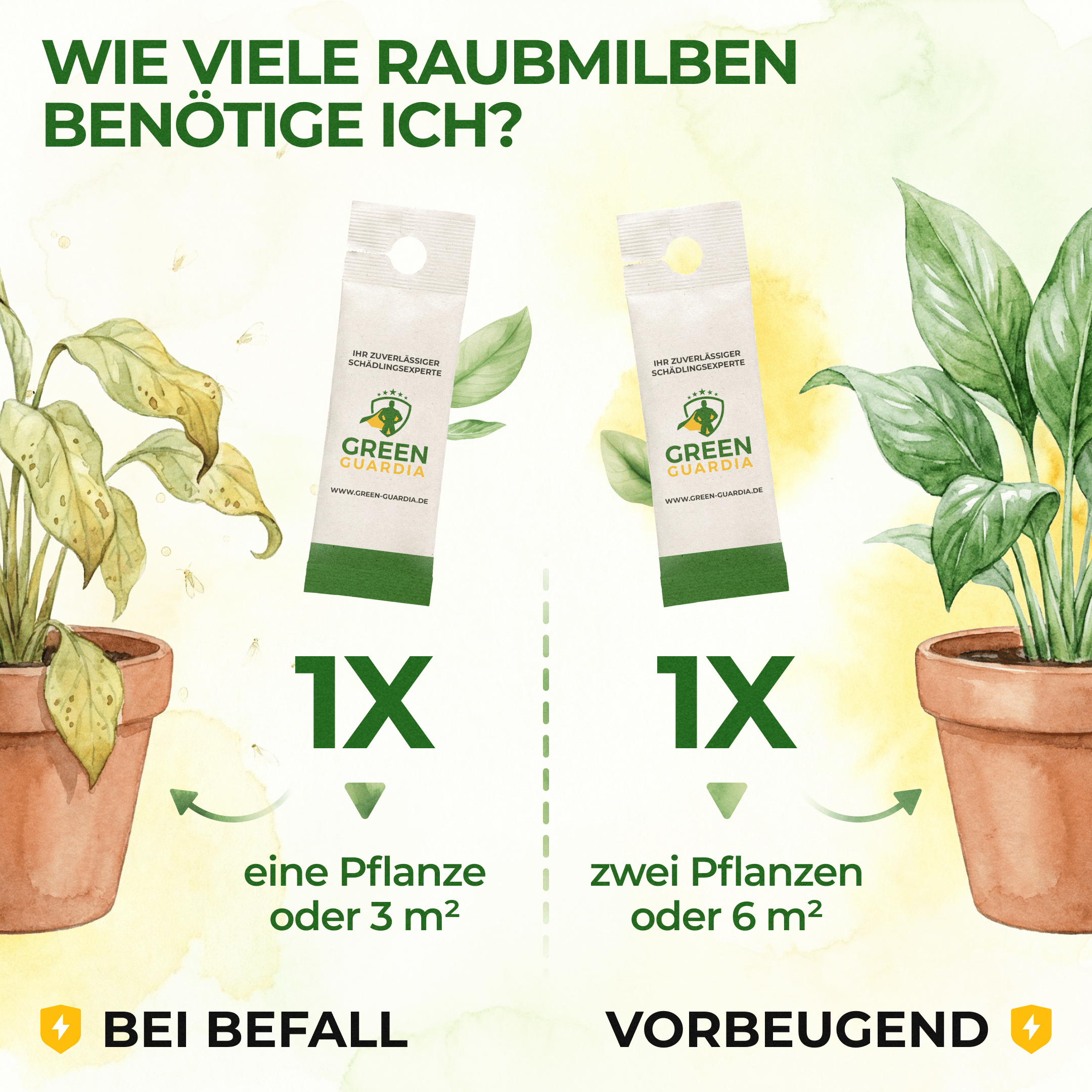 green-guardia-raubmilben-gegen-spinnmilben-1-t-te-n-tzlinge image 3