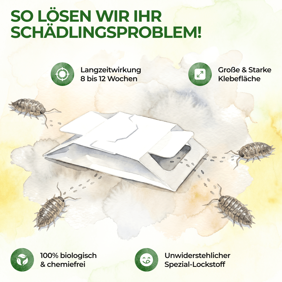 green-guardia-kellerasseln-falle-klebefalle-3-fallen-giftfrei image 6