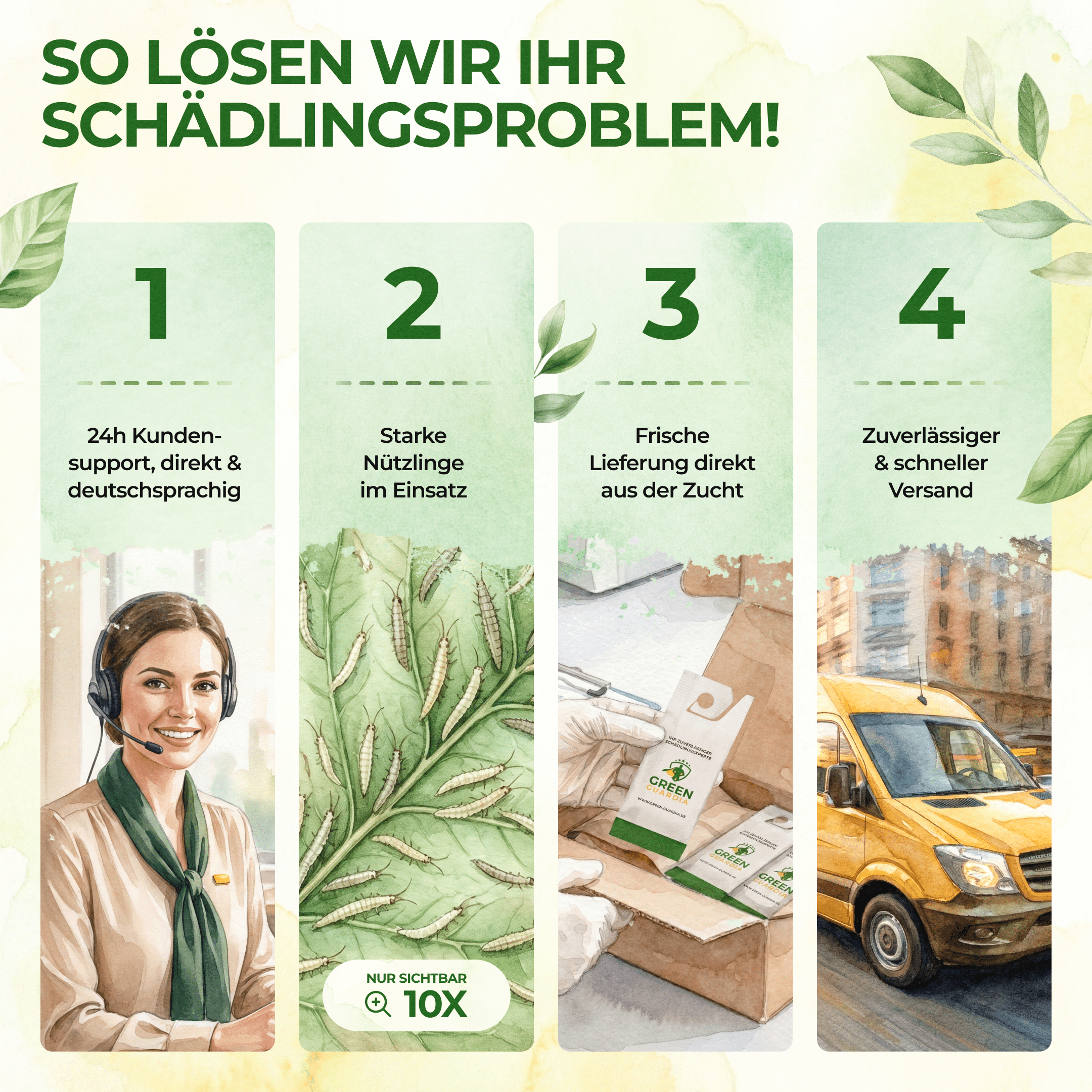 green-guardia-florfliegenlarven-eier-gegen-blattl-use-1-t-te image 7