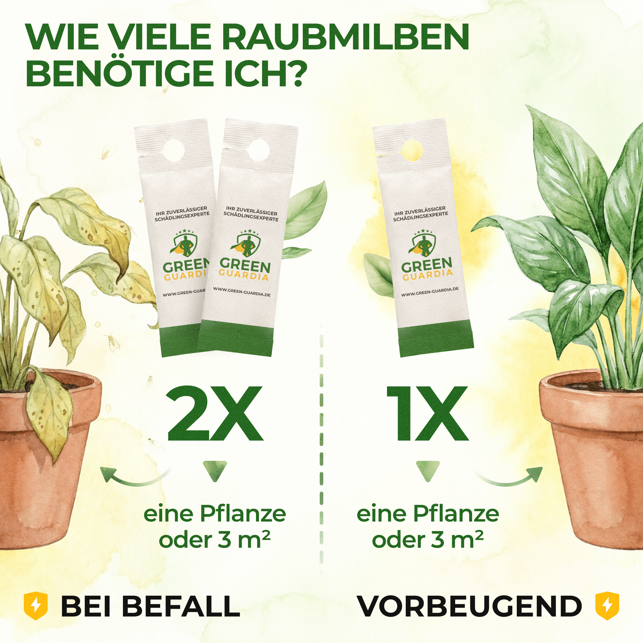 green-guardia-swirskii-raubmilben-gegen-thripse-1-t-te image 4